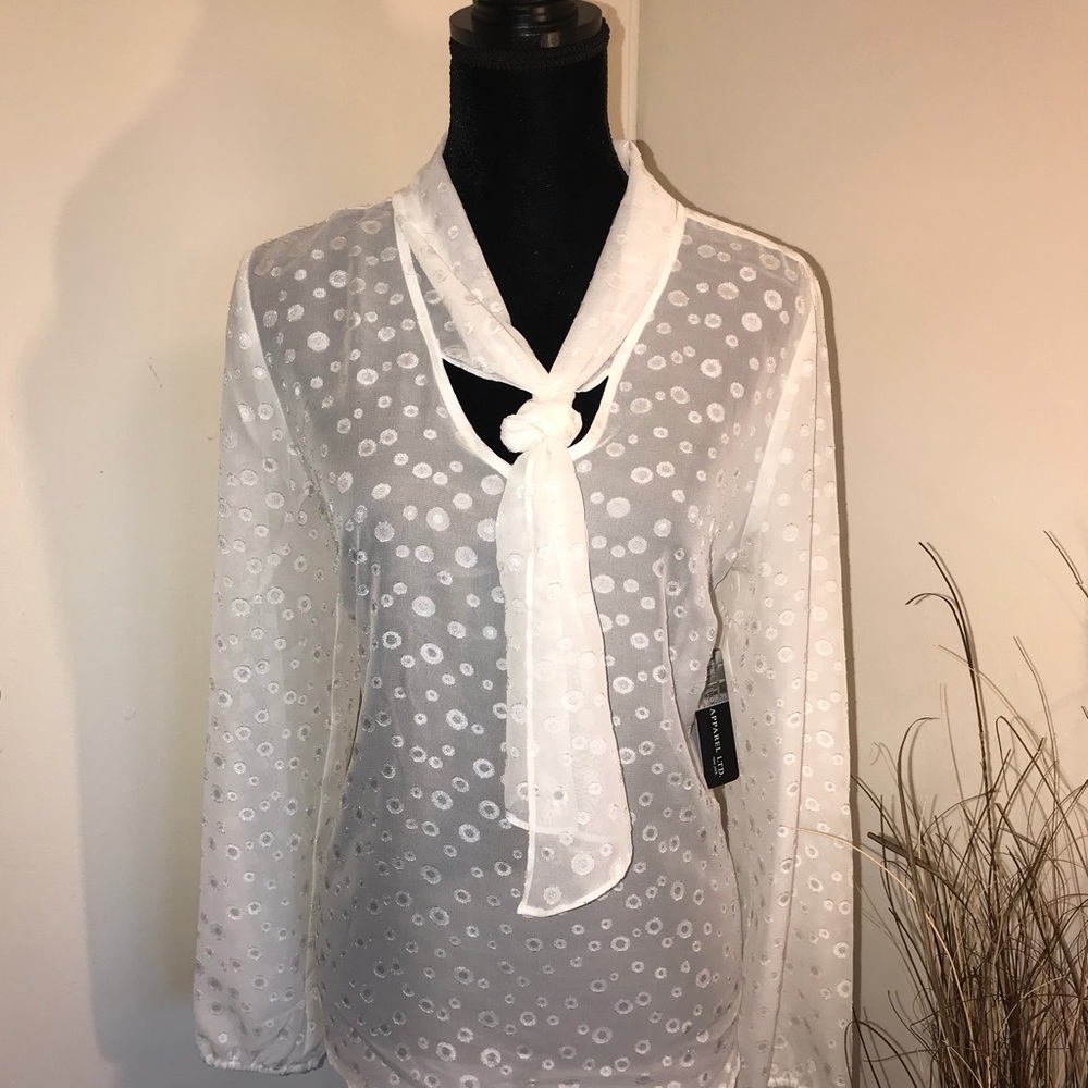 Sheer Women’s Long Sleeve Blouse With Tie At Neck